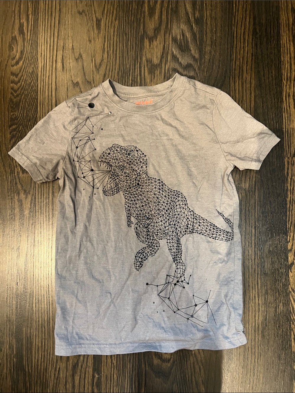 Kids Youth Boys Girls Gray Black Dinosaur Graphic Tee Short-Sleeved| M (8-10)